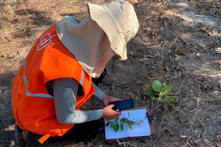 Inventário Florestal - Projeta Sustentável