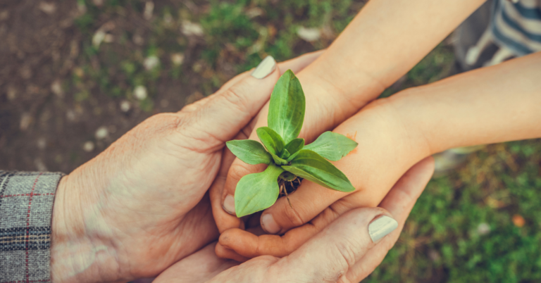 Compensação Ambiental: O Que Todo Empresário Precisa Saber Antes de Iniciar Qualquer Empreendimento